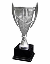 Large Silver Or Gold