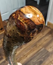 Hazel Knob Stick Walking Stick