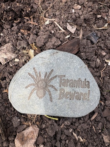 Tarantula stone - stone, –