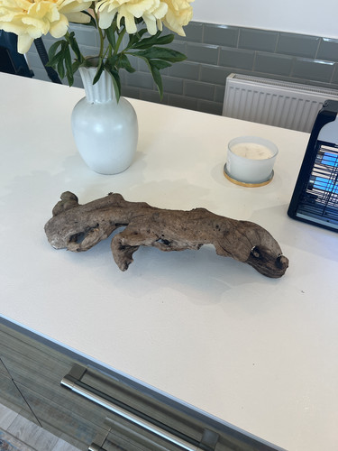 Large aquarium driftwood - aquarium,