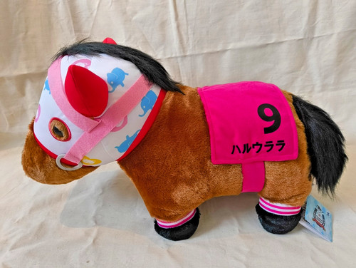 Haru urara thoroughbred - haru,