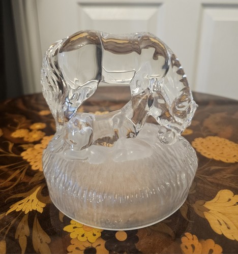 Royal crystal rock mare - crystal,