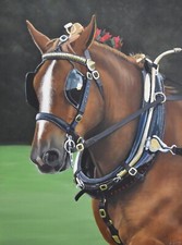 Suffolk Punch Horse print from