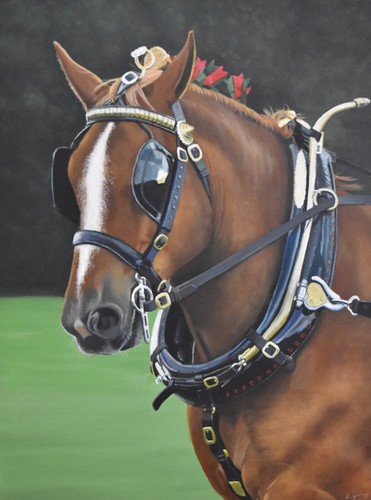 Suffolk punch horse print - punch,
