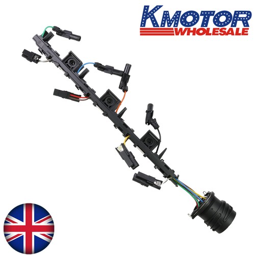 Injector wiring loom - injector, harness