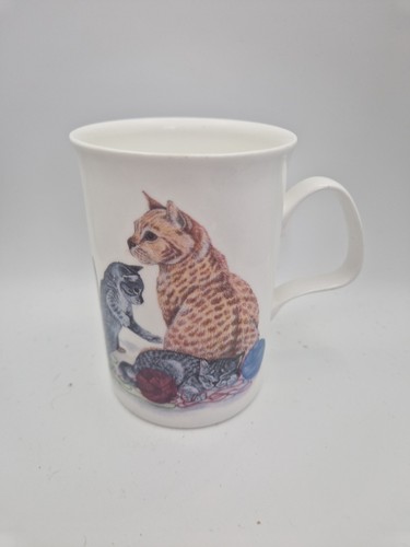 Roy kirkham cat lovers - roy,
