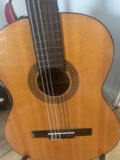 Torre Vintage Guitar