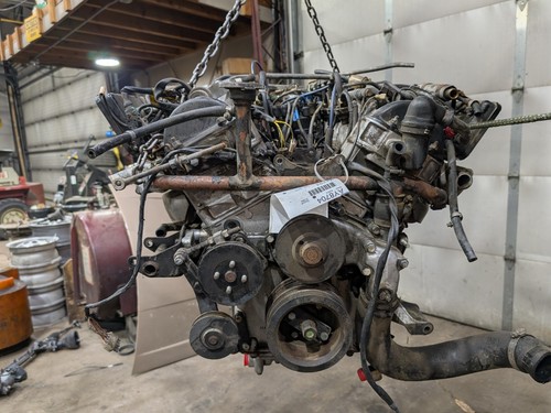1982 1988 jaguar - v12, 5.3l