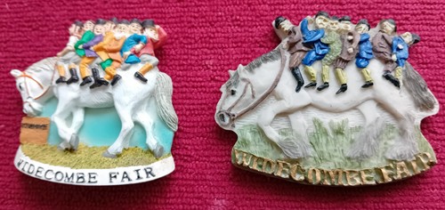Fridge magnets widecombe - magnets,