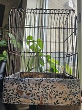 VINTAGE SMALL WIRE FRAME SONG BIRD SHOW CARRY CAGE. WOODEN BASE. PROP DISPLAY