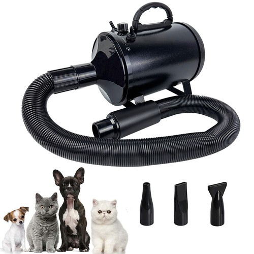 Pet dog hair dryer grooming - pet,