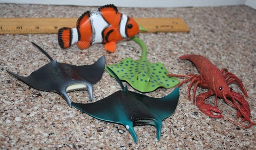 Ocean sea creatures animals - ocean/,