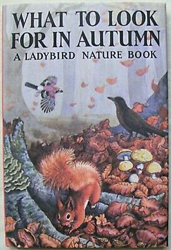 Ladybird book what to look - to,