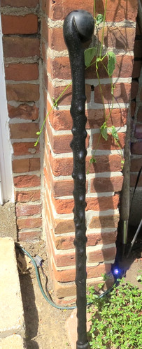 Irish blackthorn walking stick - irish,