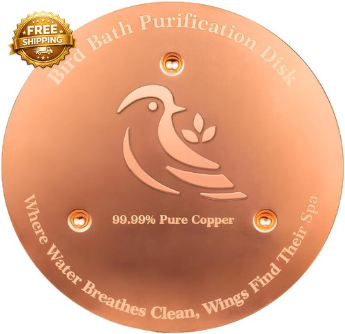 Bird bath copper disk - bath,