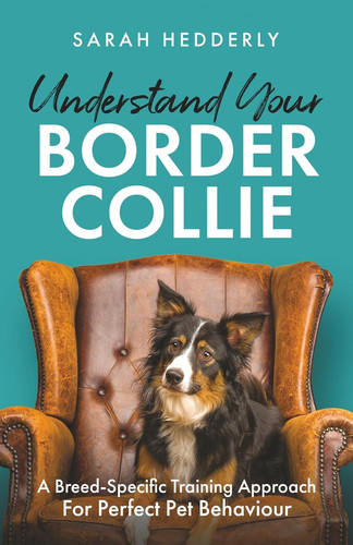 Understand your border collie - your,