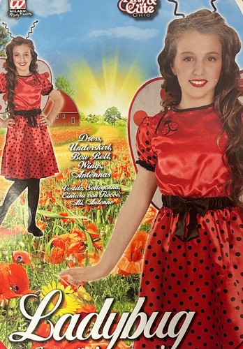 Girls toddler lady bug - toddler,