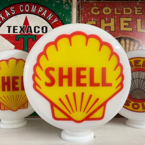 Shell inch medium - shell, 10