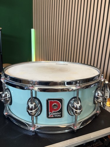 Premier genista maple x - premier, 14"