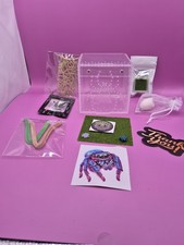 Jumping Spider Enclosure