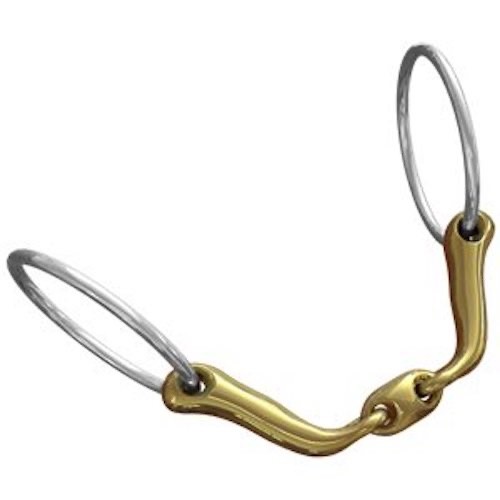 New neue schule verbindend - schule,