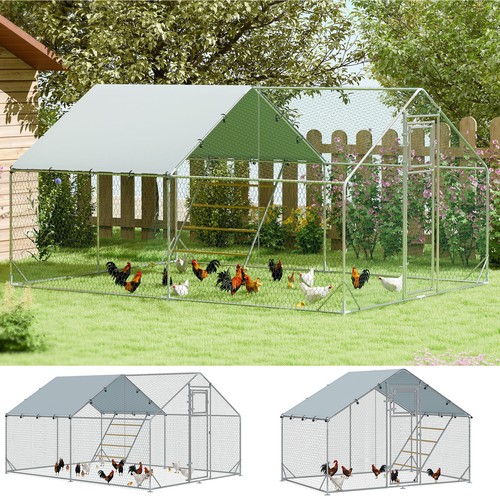 Walk chicken run - in,