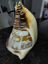 Vintage Carved Conch Shell