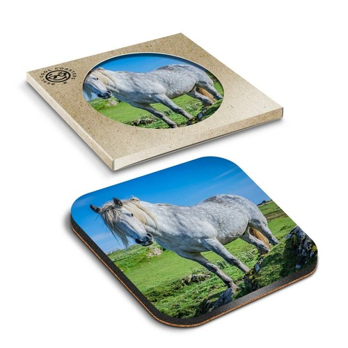 Boxed square coasters - boxed,