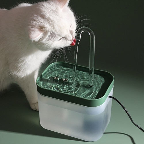 Pet cat dog - dog, water