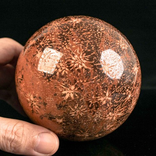 859g 88mm large starburst - 88mm,