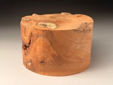 Large Burr Elm Wood Turning  Bowl Blanks 8 x 5 inch 3 KG
