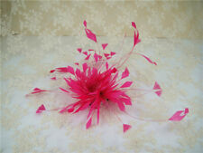 Stripped Coque Feather Goose