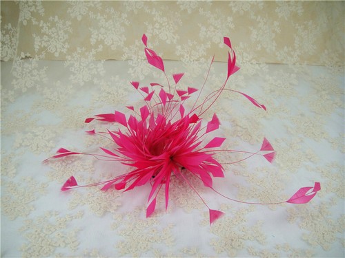 Stripped coque feather goose - coque,