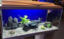 **BRAND NEW** LARGE Fish Tank