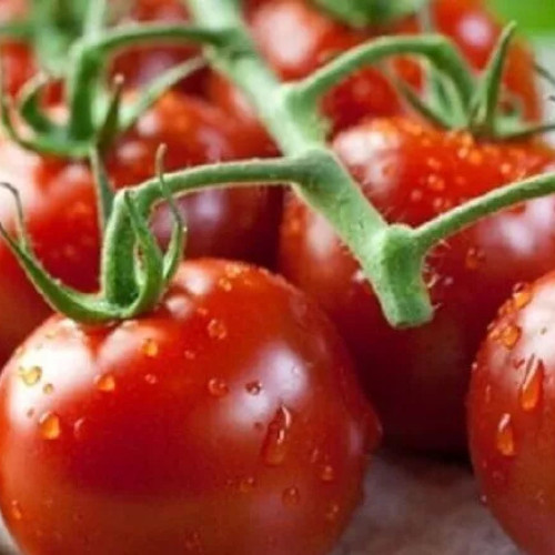 Piccolo red cherry tomato - cherry,