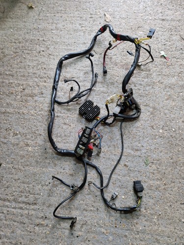 Bmw f650 funduro wiring - bmw, /