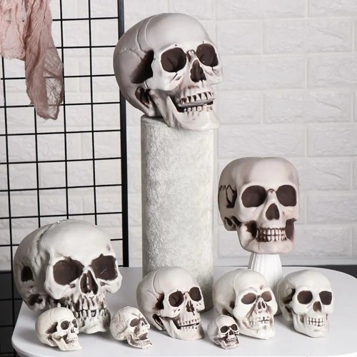 Halloween prop human - prop,