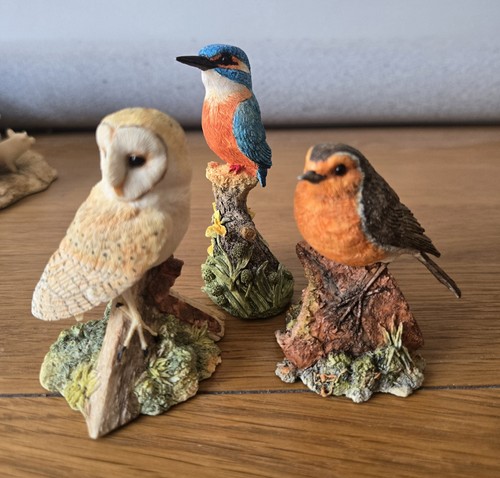Border fine arts society - border,