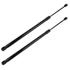 Pair Rear Tailgate Boot Gas