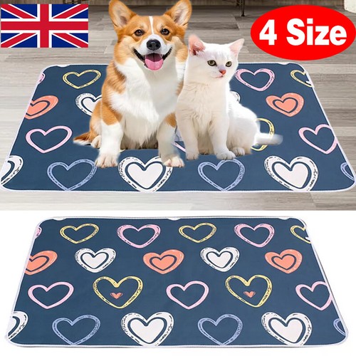 Washable large pet cat dog - cat, pee