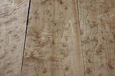 BIRDSEYE MAPLE guitar top /