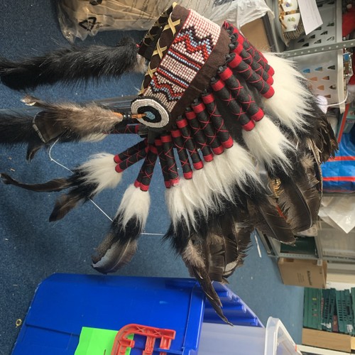 Long indian headdress - long,
