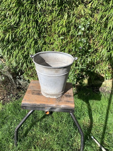 Vintage regina galvanised - vintage,