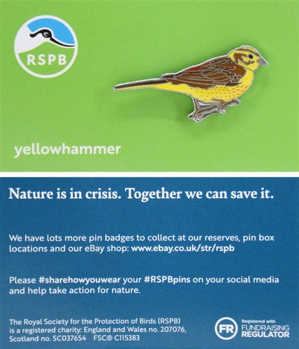 Rspb pin badge niic - rspb,