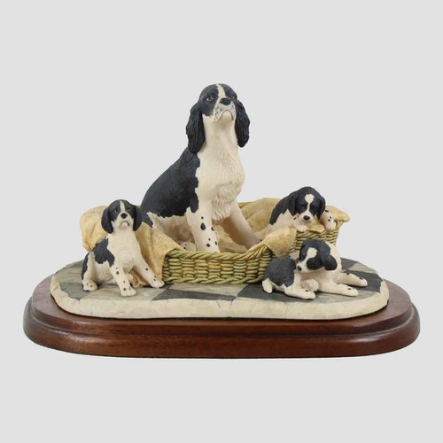 Springer spaniel and pups - spaniel,