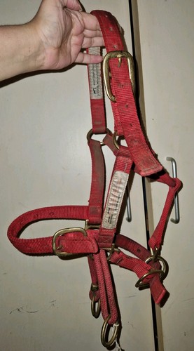 Monty roberts dually - roberts,