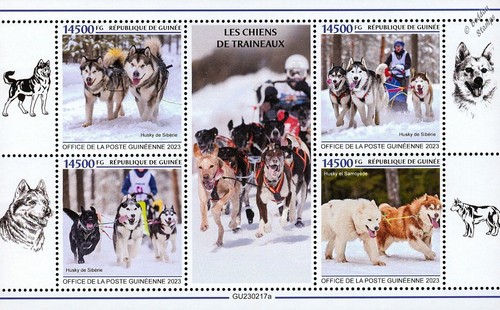 Sled dogs siberian husky - sled,