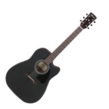 Ibanez Electro Acoustic