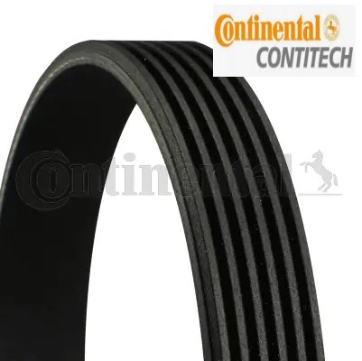 Ribbed belt fits citroën - v-ribbed,
