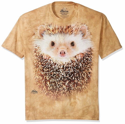 The mountain hedgehog - the,
